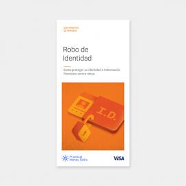 Robo de Identidad: Portada de un libro con el título "Robo de Identidad" en negrita, que simboliza una historia sobre el robo de identidad.